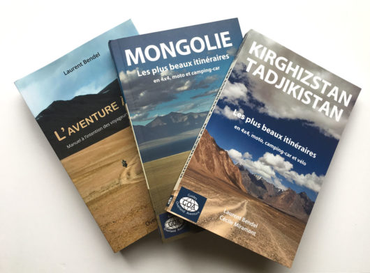 Guides de voyage